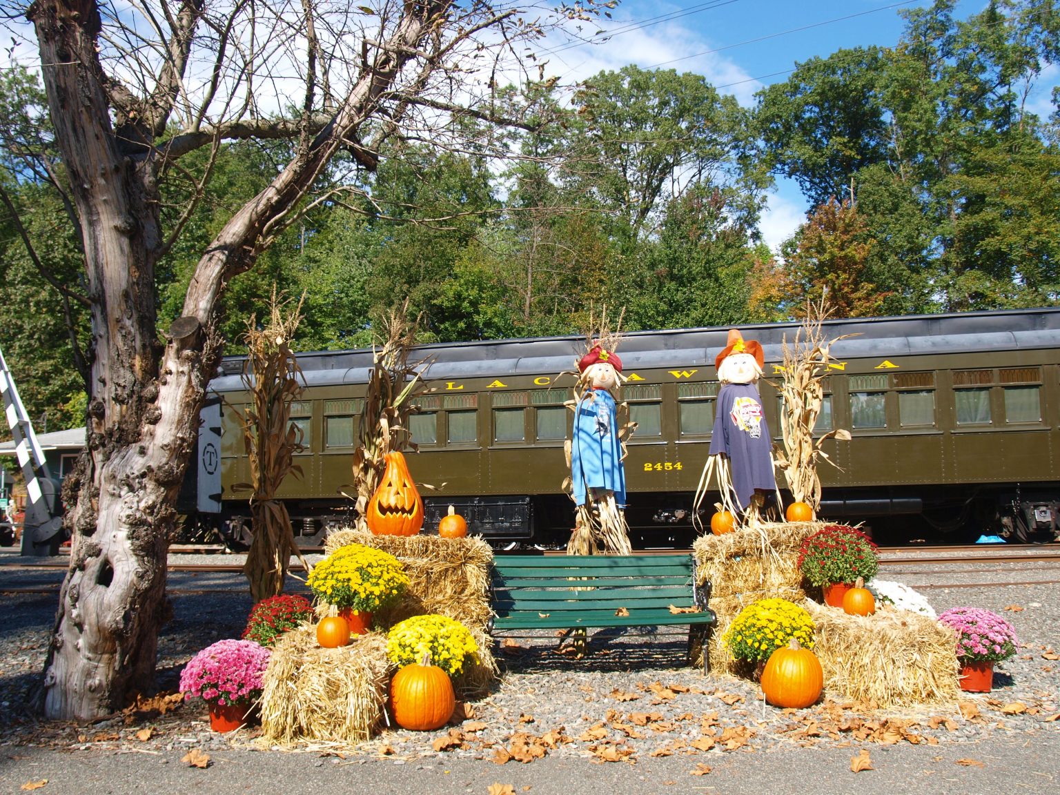 Pumpkin Patch Train